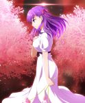  1girl cimeri dress eyebrows_visible_through_hair fate/stay_night fate_(series) floating_hair flower from_side hair_between_eyes hair_ribbon holding holding_flower long_dress long_hair matou_sakura pink_flower purple_hair red_ribbon rei_no_himo ribbon short_sleeves solo standing violet_eyes white_dress 