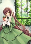  dress food frills fruit hairband heterochromia hinooka_shuji hinooka_shuuji leaf leaves long_hair petals rozen_maiden strawberries strawberry suiseiseki very_long_hair window 