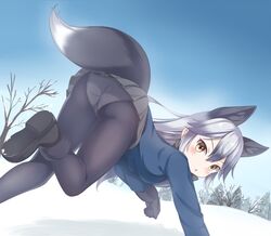  1girl animal_ears black_footwear black_gloves black_legwear black_neckwear black_skirt blue_jacket blue_sky blush brown_eyes buttons day extra_ears fox_ears fox_tail fur-trimmed_sleeves fur_trim gloves hair_between_eyes jacket jumping kemono_friends long_hair long_sleeves looking_at_viewer looking_back matsuu_(akiomoi) miniskirt outdoors panties panties_under_pantyhose pantyhose pantyshot_(jumping) pleated_skirt silver_fox_(kemono_friends) silver_hair skirt sky snow solo tail tree underwear 