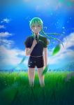  1other androgynous blue_sky clouds enzou gem_uniform_(houseki_no_kuni) grass green_eyes green_hair highres houseki_no_kuni jade_(houseki_no_kuni) leaf long_hair looking_at_viewer necktie outdoors ponytail scenery sky solo sparkle 