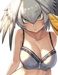  1girl backlighting blush bra breasts cleavage closed_mouth collarbone commentary eyebrows_visible_through_hair green_eyes grey_bra guchico head_wings kemono_friends large_breasts looking_at_viewer shoebill_(kemono_friends) silver_hair simple_background solo underwear upper_body white_background work_in_progress 