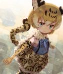  1girl animal_ears arizonan_jaguar_(kemono_friends) bare_shoulders blonde_hair blue_eyes commentary_request elbow_gloves frilled_skirt frills from_above fur_collar gloves high-waist_skirt jaguar_ears jaguar_print jaguar_tail kemono_friends kolshica multicolored_hair short_hair skirt sleeveless solo suspender_skirt suspenders tail thigh-highs 