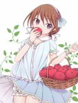  1girl apple basket bloomers blue_eyes breasts brown_hair cleavage codemofel dress eyebrows_visible_through_hair flower food fruit hair_between_eyes hair_ribbon hairband highres holding holding_fruit kantai_collection looking_at_viewer low_twintails ribbon rose shirayuki_(kantai_collection) short_hair short_sleeves small_breasts smile snow_white solo twintails underwear violet_eyes white_bloomers wrist_garter 