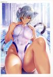    1girl absurdres animal_ears bangs breasts dark_skin erect_nipples eyebrows_visible_through_hair eyepatch grey_hair highres large_breasts looking_at_viewer omega_2-d one-piece_swimsuit page_number parted_lips pool poolside scan smile solo swimsuit tail toranoana violet_eyes 