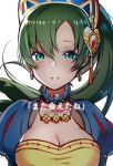  1girl breasts choker cleavage crying earrings fire_emblem fire_emblem:_rekka_no_ken fire_emblem_heroes green_eyes green_hair highres jewelry long_hair lyndis_(fire_emblem) necklace parted_lips ponytail ringozaka_mariko simple_background solo tears white_background 