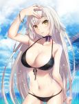  1girl arm_at_side bangs bare_shoulders bikini black_bikini blurry blush breasts cleavage collarbone cowboy_shot depth_of_field eyebrows_visible_through_hair fate/grand_order fate_(series) front-tie_top groin hair_between_eyes halterneck head_tilt highres jeanne_d&#039;arc_(alter)_(fate) jeanne_d&#039;arc_(fate)_(all) large_breasts long_hair looking_at_viewer midriff navel ocean palm_leaf silver_hair solo standing swimsuit thighs very_long_hair water yellow_eyes yoshida_takuma 
