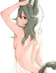  1girl animal_ears arm_up backless_dress backless_outfit bangs bare_back bare_shoulders blush breasts butt_crack commentary_request dress erune granblue_fantasy grey_hair hair_between_eyes highres koretsuki_azuma long_hair looking_at_viewer looking_back medium_breasts red_eyes sen_(granblue_fantasy) sideboob simple_background solo white_background white_dress 