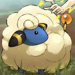  absurdres blue_fur grass highres looking_to_the_side mareep out_of_frame pokemon pokemon_(creature) pokemon_focus solo solo_focus spicyichizo tail wool 