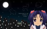  clannad ichinose_kotomi moon night tagme 