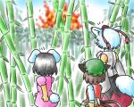 3girls animal_ears bamboo bamboo_forest bare_shoulders bit black_hair brown_hair bunny_ears bunny_tail cat_ears cat_tail chen detached_sleeves explosion forest inaba_tewi inubashiri_momiji multiple_girls multiple_tails nature silver_hair tail touhou wolf_ears wolf_tail 