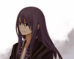  black_eyes long_hair male purple_hair shirataki_nako tales_of_(series) tales_of_vesperia yuri_lowell 