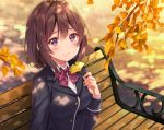  1girl bench blazer blush bow brown_hair commentary_request dress_shirt fukahire_(ruinon) holding holding_leaf image_sample jacket leaf mellkiss plaid plaid_bow plaid_neckwear school_uniform shade shirt short_hair sitting smile solo tree_branch tumblr_sample violet_eyes 