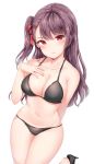  1girl absurdres arm_behind_back bangs bikini black_bikini black_footwear blush breasts cleavage closed_mouth collarbone eyebrows_visible_through_hair girls_frontline hair_ribbon half_updo hand_on_own_breast high_heels highres large_breasts leg_up long_hair looking_at_viewer navel one_side_up painteen purple_hair red_eyes red_ribbon ribbon sidelocks simple_background solo stomach swimsuit very_long_hair wa2000_(girls_frontline) white_background 
