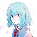  1girl blue_eyes blue_hair blue_vest cherry_blossoms collar frilled_collar frills heterochromia juliet_sleeves long_sleeves mikoko puffy_sleeves red_eyes red_ribbon ribbon short_hair simple_background solo tatara_kogasa tongue tongue_out touhou vest white_background 