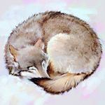  animal arctic_fox curled_up ilya_kuvshinov no_humans original simple_background sleeping solo white_background 