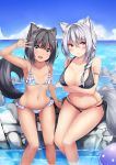  2girls :d animal_ears arm_support arm_up bangs bare_arms bare_shoulders bikini black_bikini black_hair blue_bikini blue_sky blush braid breasts brown_eyes cleavage closed_mouth clouds collarbone commentary day eyebrows_visible_through_hair green_eyes hair_between_eyes halter_top halterneck head_tilt highres horizon irohasu large_breasts long_hair looking_at_viewer multiple_girls navel o-ring o-ring_bikini o-ring_bottom ocean open_mouth original outdoors revision side_braid silver_hair single_braid sitting sky small_breasts smile soaking_feet swimsuit tail v water wet 