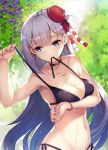  1girl akanebi alternate_costume arm_across_chest armpits azur_lane bangle bangs bare_shoulders bikini bikini_in_mouth bikini_tug blue_eyes blush bracelet breasts choker cleavage closed_mouth collarbone commentary_request day eyebrows_visible_through_hair flower groin hair_flower hair_ornament highres jewelry large_breasts long_hair looking_at_viewer mole mole_under_eye mouth_hold nail_polish navel outdoors red_nails revision shoukaku_(azur_lane) side-tie_bikini sidelocks silver_hair skindentation smile solo stomach swimsuit tree untied untied_bikini wet 