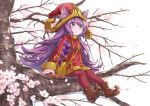  1girl animal_ears boots cherry_blossoms green_eyes hat konomoto_(knmtzzz) lavender_skin league_of_legends long_hair lulu_(league_of_legends) pantyhose petals purple_hair red_legwear sitting sitting_on_branch solo witch_hat yordle 