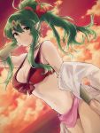  1girl aiueo1234853 beach bikini breasts chiki cute dragon_girl elf fire_emblem fire_emblem:_kakusei fire_emblem:_mystery_of_the_emblem fire_emblem_heroes green_eyes green_hair highres intelligent_systems long_hair looking_at_viewer mamkute navel nintendo older pointy_ears ponytail smile solo sunset super_smash_bros. swimsuit teenage tiara tiki_(fire_emblem) 