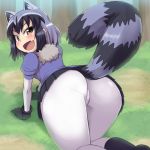  1girl :d all_fours animal_ears arched_back ass bangs black_gloves black_hair black_skirt blue_sweater blush bodystocking brown_eyes commentary_request common_raccoon_(kemono_friends) day extra_ears fang foreshortening from_behind fur_collar gloves grass grey_hair impossible_clothes kemono_friends long_sleeves looking_at_viewer microskirt multicolored_hair open_mouth outdoors pleated_skirt puffy_short_sleeves puffy_sleeves raccoon_ears raccoon_tail short_hair short_over_long_sleeves short_sleeves skin_tight skirt smile solo striped_tail subarutu sweater tail 