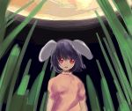  bamboo bamboo_forest bunny_ears forest hizu inaba_tewi moon nature noise_(hakusen) open_mouth rabbit_ears red_eyes solo touhou 