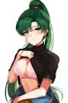  1girl blush breasts fire_emblem fire_emblem:_rekka_no_ken fire_emblem_heroes gloves green_eyes green_hair high_ponytail highres large_breasts long_hair looking_at_viewer lyndis_(fire_emblem) ormille ponytail simple_background smile solo very_long_hair 