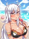  1girl ahoge beach bikini braid breasts clouds collarbone day dripping eating fate/grand_order fate_(series) food large_breasts looking_at_viewer mabo-udon olga_marie_animusphere outdoors popsicle shiny shiny_clothes shiny_skin side_braid solo swimsuit upper_body white_hair yellow_eyes 