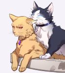  animal animal_ears biting cat cat_ears closed_eyes closed_mouth collar commentary_request ear_biting gem highres lying no_humans on_stomach original paws red_eyes sitting tenobe whiskers 