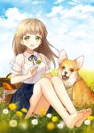  1girl :o barefoot black_skirt blue_sky bread breasts brown_hair clouds clover dandelion day detached_collar dog field flower food four-leaf_clover green_eyes knees_up long_hair looking_at_viewer mameris2 medium_breasts outdoors picnic_basket see-through sitting skirt sky solo 