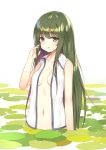  1girl bangs bare_arms bare_shoulders blush breasts collarbone commentary_request cowboy_shot eyebrows_visible_through_hair flan_(seeyouflan) green_eyes green_hair hand_in_hair hand_up highres ke-ta_(style) kochiya_sanae lily_pad long_hair looking_at_viewer medium_breasts navel open_clothes open_shirt parted_lips shirt sidelocks simple_background sleeveless sleeveless_shirt solo stomach touhou very_long_hair wading white_background white_shirt wing_collar 