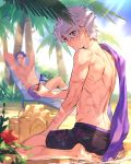  2boys arms_behind_head back beach_chair blue_sky clouds eyebrows_visible_through_hair eyes_visible_through_hair fate/grand_order fate_(series) father_and_son flower galahad_(fate) glasses grand_dobu hair_over_one_eye highres lancelot_(fate/grand_order) looking_at_viewer looking_back male_focus male_swimwear mini_flag multiple_boys palm_tree purple_hair sand sand_castle sand_sculpture scar silver_hair sky solo_focus swim_trunks swimsuit swimwear tree tree_shade yellow_eyes 