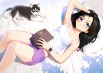  1girl bare_legs barefoot black_hair blue_eyes blush book boyshorts closed_mouth commentary_request dog feet_out_of_frame hand_in_hair holding holding_book husky looking_at_viewer lying on_back open_book original pillow shirt smile solo treeware watch watch white_shirt 
