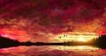 amatsuki_rei bird clouds cloudy_sky commentary_request evening highres lake no_humans original outdoors overcast red_sky reflection scenery signature silhouette sky sunset 