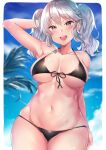  1girl :d arm_at_side arm_up armpits bikini black_bikini blue_eyes blue_sky blurry blurry_background breasts cowboy_shot day depth_of_field eyebrows_visible_through_hair front-tie_bikini front-tie_top halterneck highres kantai_collection kashima_(kantai_collection) large_breasts medium_hair navel open_mouth outdoors sidelocks silver_hair skindentation sky smile solo sweat swimsuit twintails usa_b 