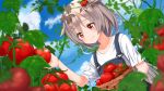  1girl ame. azur_lane bangs basket blue_sky blush closed_mouth clouds collarbone commentary_request day dutch_angle eyebrows_visible_through_hair hair_between_eyes hair_flaps hair_ornament hand_up montpelier_(azur_lane) outdoors overalls red_eyes shirt short_sleeves silver_hair sky smile solo tomato tomato_hair_ornament white_shirt 