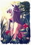  1girl akino_sora animal_ears beltbra closed_mouth day flower from_side grass highres long_hair looking_up original outdoors profile purple_hair red_eyes red_flower solo symbol_commentary 
