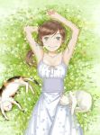  1girl arm_up blush breasts brown_hair cat day dress flower from_above grass green_eyes kawamoto_akari long_hair looking_at_viewer lying on_back outdoors sangatsu_no_lion small_breasts smile solo summer_worm white_cat white_dress 