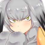  1girl bangs bird_wings blush closed_mouth eyebrows_visible_through_hair frown green_eyes grey_legwear hair_between_eyes head_wings highres kemono_friends long_hair looking_at_viewer mugi_(user_khzh5853) multicolored_hair orange_hair shoebill_(kemono_friends) side_ponytail silver_hair simple_background solo white_background wings 