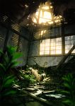  animal blurry blurry_foreground broken commentary_request day depth_of_field highres indoors light_particles mocha_(cotton) original ruins scenery sunlight tanuki window 