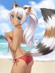  1girl :3 animal_ears ass bangs beach bikini blue_eyes breasts cat_ears cat_tail cristalavi day freckles from_side highres long_hair looking_at_viewer looking_back medium_breasts original outdoors parted_lips ponytail red_bikini side-tie_bikini solo string_bikini swimsuit tail untied untied_bikini white_hair 