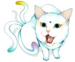  bindi blue_eyes cat cat_focus fang fangs gem multiple_tails murata_(pixiv49763) nekomata no_humans open_mouth tail 