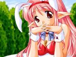  between_breasts breasts bunny_ears bunnysuit game_cg katsuma_rei lighter pink_hair pointy_ears rabbit_ears red_eyes 