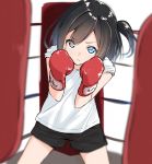  1girl bangs black_hair black_shorts blue_eyes blurry blurry_background boxing_gloves boxing_ring commentary_request depth_of_field eyebrows_visible_through_hair hair_between_eyes hair_over_one_eye hands_up head_tilt highres looking_at_viewer one_side_up original shirt short_shorts short_sleeves shorts solo standing suzunari_shizuku white_shirt yuki_arare 