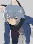  1boy animal_ears blue_eyes blush cardigan cat_ears catboy eyebrows_visible_through_hair great_kichi ledo_vassar light_blue_hair pop-up_story scarf solo sweatdrop 