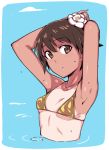  1girl :o armpits arms_behind_head arms_up bathing bikini bikini_top blue_background blush brave_witches breasts brown_bikini brown_eyes brown_hair character_request collarbone em flower hair_flower hair_ornament head_tilt looking_at_viewer one-piece_tan parted_lips partially_submerged short_hair small_breasts solo strike_witches string_bikini swimsuit tan tanline under_boob upper_body water water_drop white_flower world_witches_series 