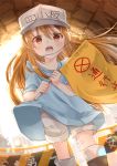  1girl bangs black_footwear blue_shirt blurry blurry_background blush boots brown_eyes brown_hair character_name clothes_writing commentary_request depth_of_field dutch_angle eyebrows_visible_through_hair flag flat_cap grey_hat grey_shorts hair_between_eyes hat hataraku_saibou highres holding holding_flag iroha_(shiki) knee_boots long_hair looking_at_viewer open_mouth platelet_(hataraku_saibou) shirt short_shorts short_sleeves shorts solo standing very_long_hair 