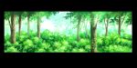  absurdres bush commentary_request day forest highres hirota_(masasiv3) light_rays nature no_humans original outdoors scenery tree windowboxed 