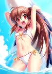  1girl arms_up bikini blue_sky breasts brown_hair clouds collarbone cowboy_shot day fang front-tie_top inflatable_toy inflatable_whale little_busters!! long_hair looking_at_viewer natsume_rin navel open_mouth outdoors ponytail red_eyes side-tie_bikini sky small_breasts smile soaking_feet solo standing swimsuit water white_bikini zen 