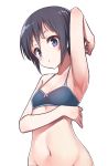  1girl arm_up armpits black_hair blue_bra blue_eyes bra closed_mouth flat_chest groin highres konnyaku_(kk-monmon) kurosaki_honoka looking_at_viewer navel short_hair simple_background solo underwear underwear_only white_background yama_no_susume 