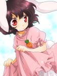  bloomers brown_hair bunny_ears bunny_tail carrot dress dress_lift inaba_tewi jewelry matyinging pendant rabbit_ears red_eyes short_hair tail touhou 